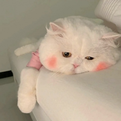 言诗人