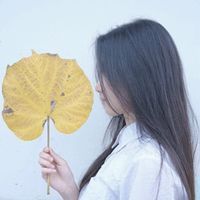 纵情知己