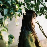 梦中风几里